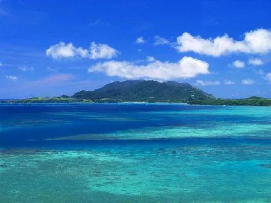 爱你是最好的安排苏夏霍骁 爱你是最好的安排免费阅读