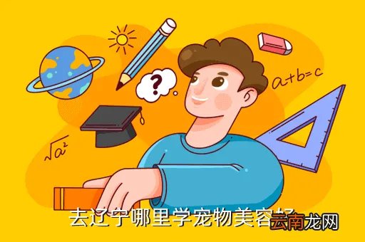 辽宁宠物美容培训,辽宁哪家宠物美容学校好