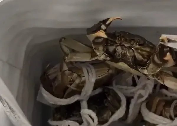 小伙被螃蟹夹手反咬一口,结果患肺吸虫病,为何会出现如此严重后果?