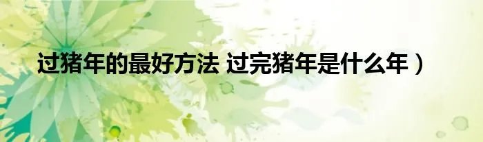 过猪年的最好方法 过完猪年是什么年）