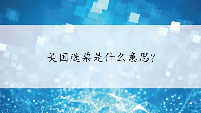 美国选票是什么意思？