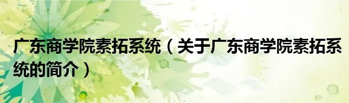 广东商学院素拓系统(关于广东商学院素拓系统的简介)