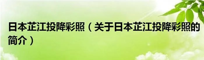 日本芷江投降彩照（关于日本芷江投降彩照的简介）