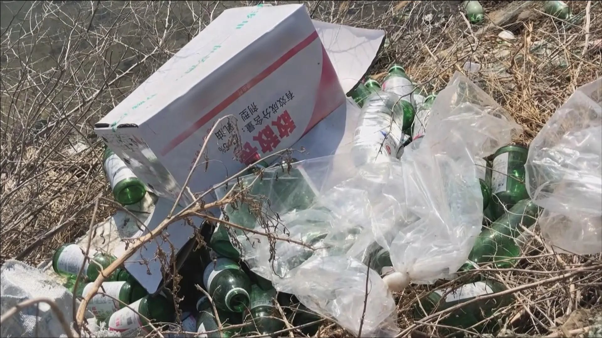 即墨海参违规养殖3人被控制,这样的海参以后还敢食用吗?