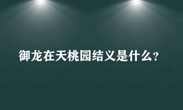 御龙在天桃园结义是什么？
