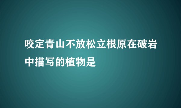 咬定青山不放松立根原在破岩中描写的植物是