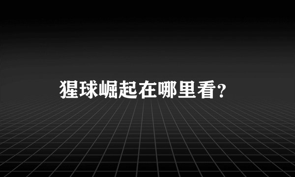 猩球崛起在哪里看？
