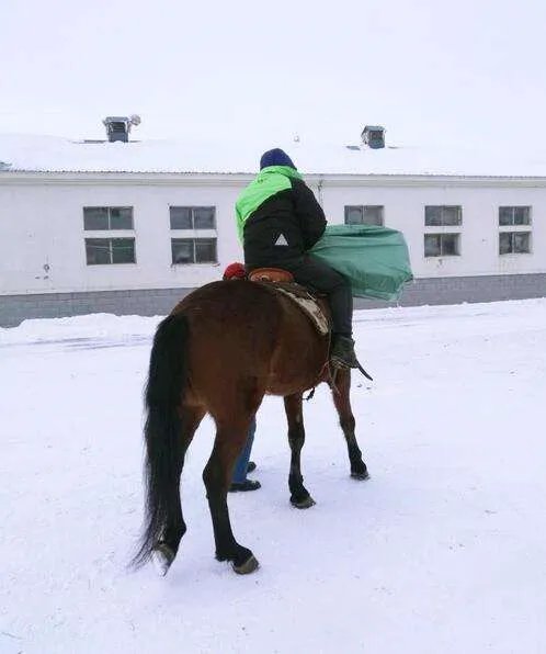 雪天骑马撞人逃逸将受到什么处罚?