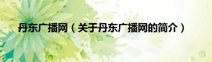 丹东广播网（关于丹东广播网的简介）
