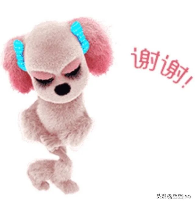 2019年最后一天该怎么过?