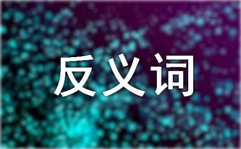 普通的反义词