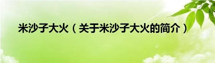 米沙子大火（关于米沙子大火的简介）