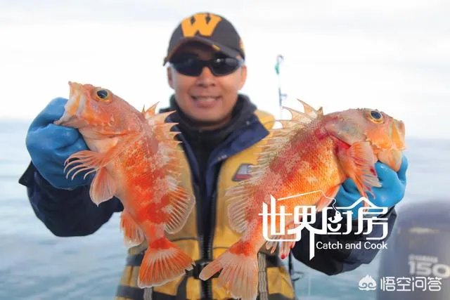 除了《游钓中国》,你还喜欢什么钓鱼类视频?