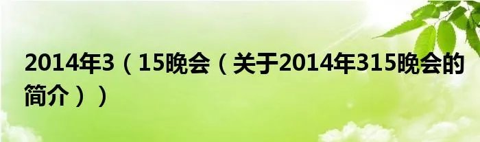 2014年3（15晚会（关于2014年315晚会的简介））