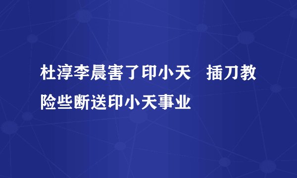 杜淳李晨害了印小天   插刀教险些断送印小天事业