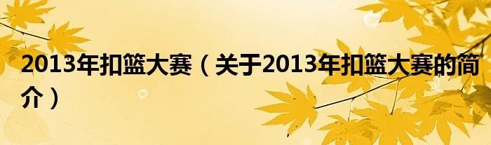 2013年扣篮大赛（关于2013年扣篮大赛的简介）