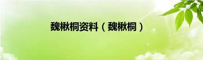魏楸桐资料（魏楸桐）