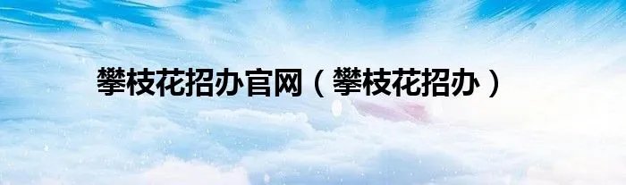 攀枝花招办官网（攀枝花招办）