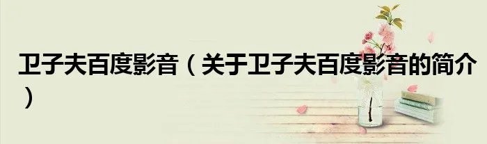卫子夫百度影音（关于卫子夫百度影音的简介）