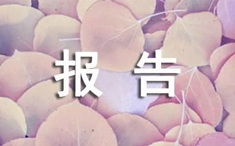 地质灾害报告