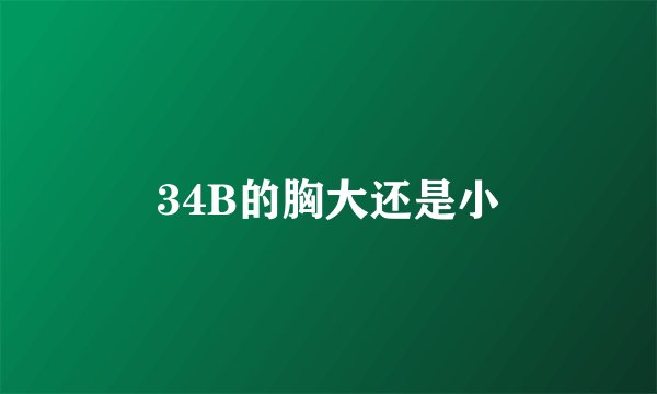 34B的胸大还是小