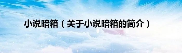 小说暗箱（关于小说暗箱的简介）