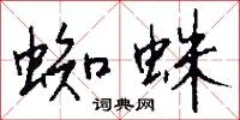 蜘蛛