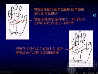教你如何看手相?看手相算命图解大全
