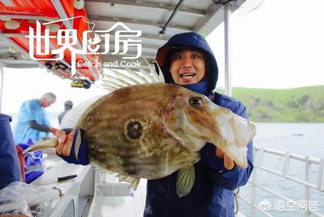 除了《游钓中国》,你还喜欢什么钓鱼类视频?
