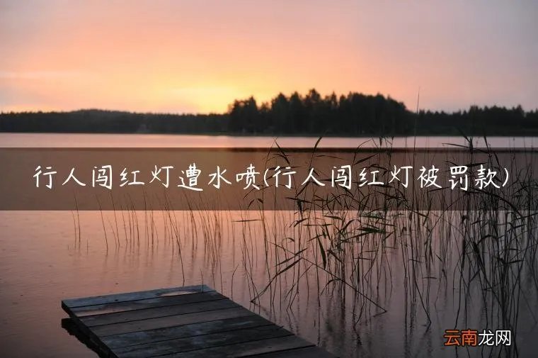 行人闯红灯被罚款 行人闯红灯遭水喷