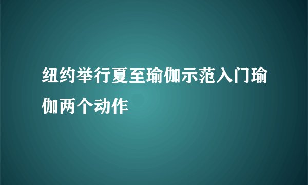 纽约举行夏至瑜伽示范入门瑜伽两个动作