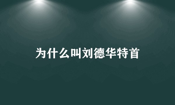 为什么叫刘德华特首