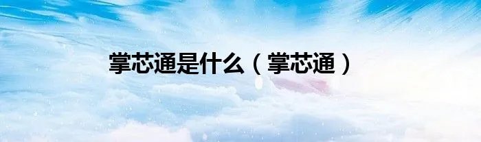 掌芯通是什么（掌芯通）