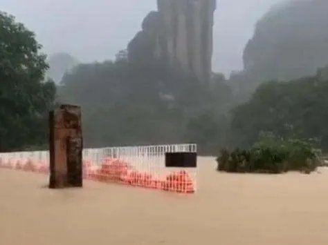 武夷山暴雨中猴子蹲桥上避险是怎么回事?