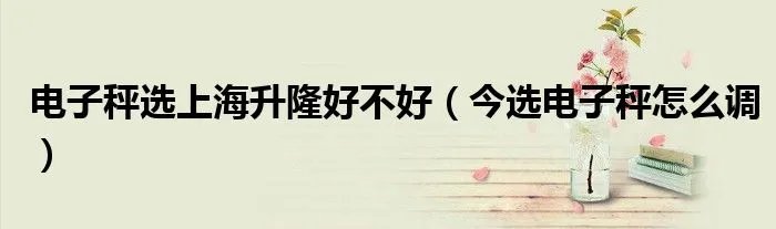 电子秤选上海升隆好不好（今选电子秤怎么调）