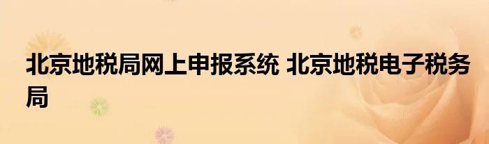 北京地税局网上申报系统 北京地税电子税务局