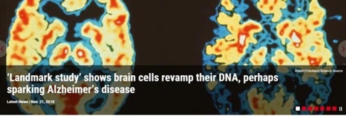 这才是“基因修改”的正确姿势：人类脑细胞自己修改DNA！