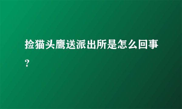 捡猫头鹰送派出所是怎么回事？