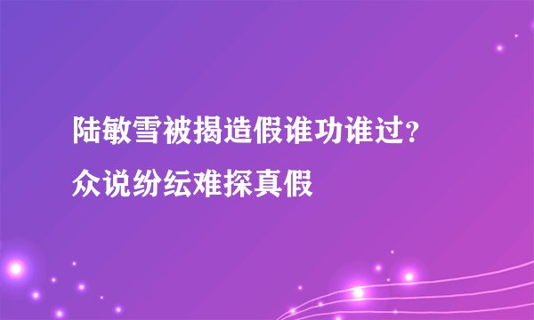 陆敏雪被揭造假谁功谁过？ 众说纷纭难探真假