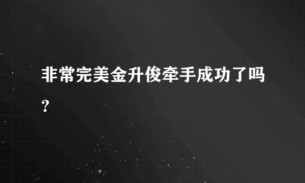 非常完美金升俊牵手成功了吗?