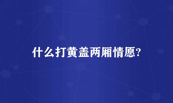 什么打黄盖两厢情愿?