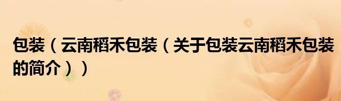 包装（云南稻禾包装（关于包装云南稻禾包装的简介））