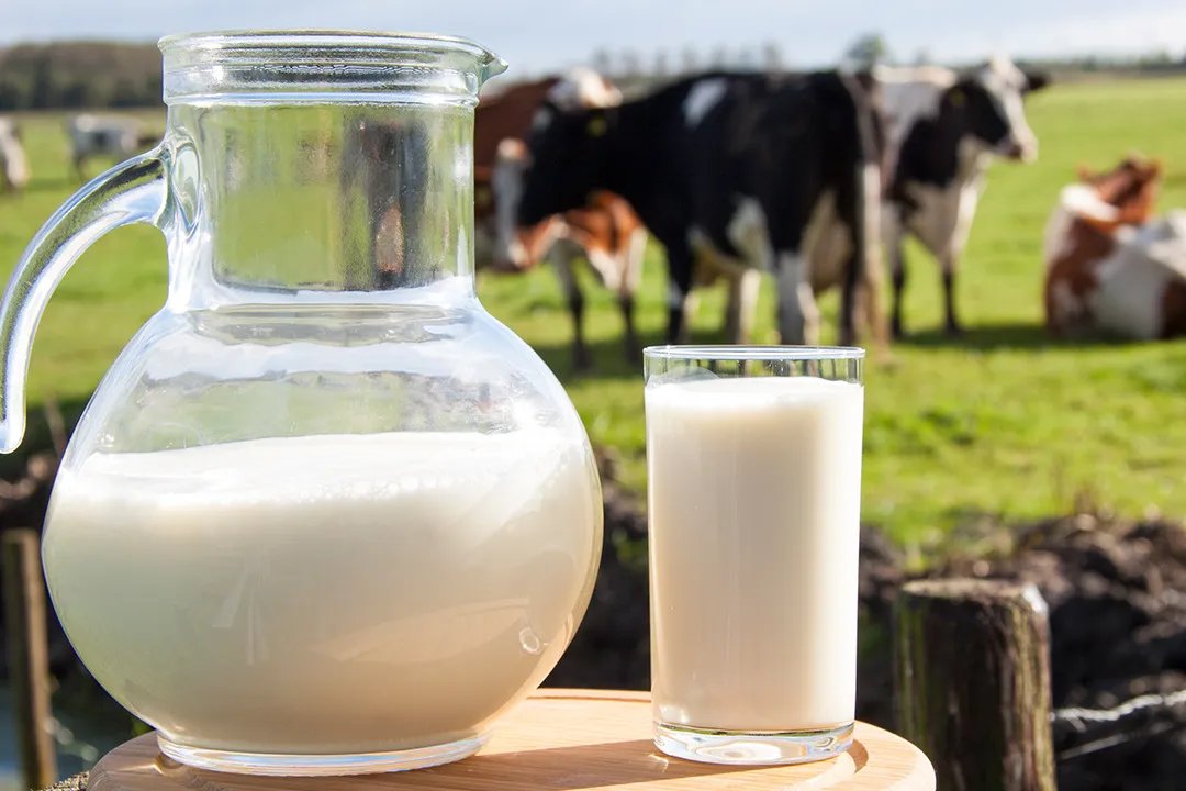 相关推荐