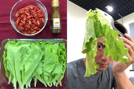 谢霆锋李健新歌声 开启自己种植新时代