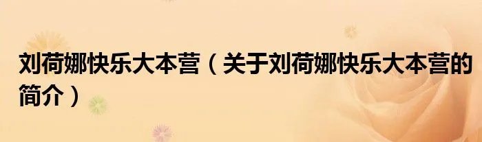 刘荷娜快乐大本营（关于刘荷娜快乐大本营的简介）