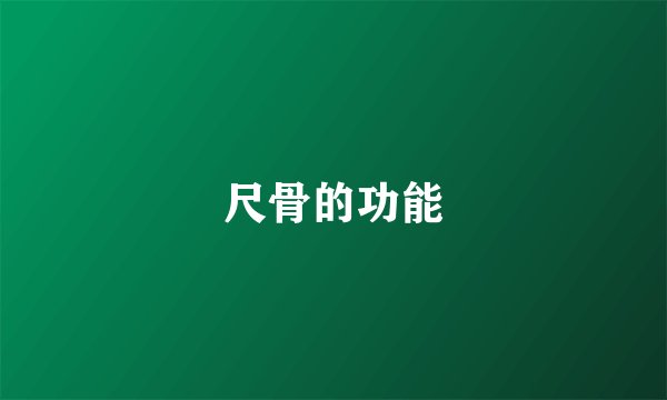 尺骨的功能