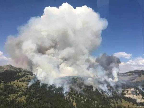 衢州化工厂爆炸事件备受关注,后续是怎样的呢?