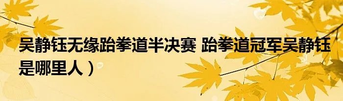 吴静钰无缘跆拳道半决赛 跆拳道冠军吴静钰是哪里人）