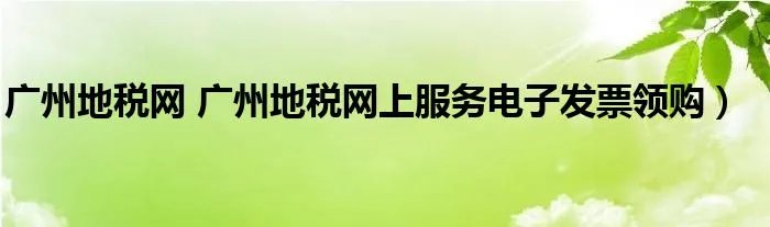 广州地税网 广州地税网上服务电子发票领购）