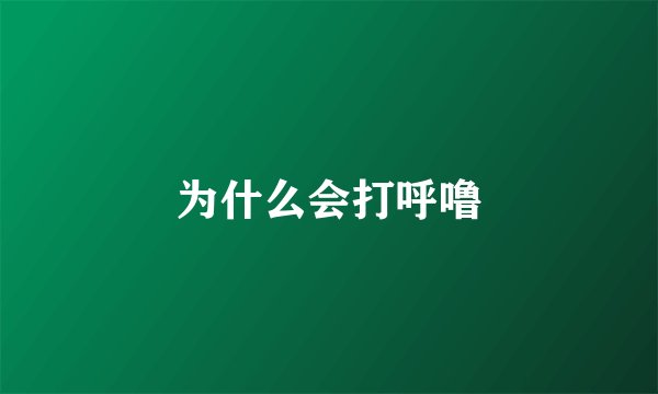 为什么会打呼噜